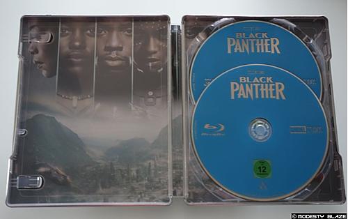 Klicke auf die Grafik für eine vergrößerte Ansicht  Name: Black Panther 5.jpg Ansichten: 1 Größe: 87,0 KB ID: 2412