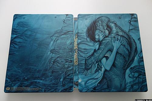 Klicke auf die Grafik für eine vergrößerte AnsichtName: Shape of Water 5.jpgAnsichten: 1Größe: 162,0 KBID: 2714