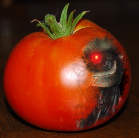 Klicke auf die Grafik für eine vergrößerte Ansicht  Name: terminator_tomato.jpg Ansichten: 1 Größe: 52,3 KB ID: 79462