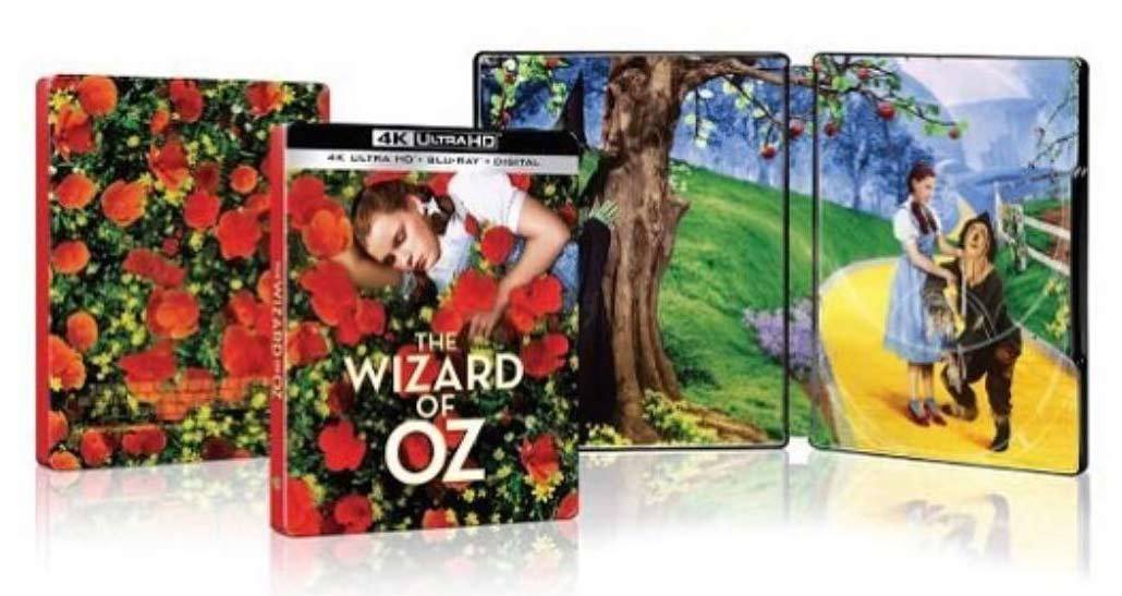 Klicke auf die Grafik für eine vergrößerte Ansicht  Name: The-Wizard-of-Oz-steelbook-bestbuy.jpg Ansichten: 1 Größe: 74,5 KB ID: 115302