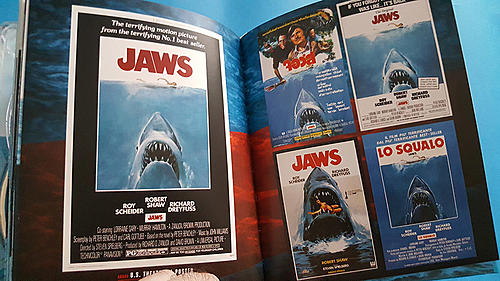 Klicke auf die Grafik für eine vergrößerte AnsichtName: Jaws 24.jpgAnsichten: 1Größe: 183,6 KBID: 141056