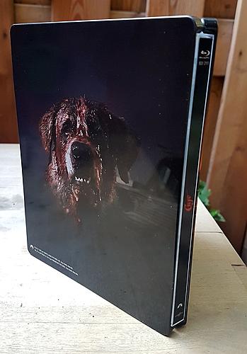 Klicke auf die Grafik für eine vergrößerte Ansicht

Name: Cujo-steelbook-fr-2.jpg
Ansichten: 101
Größe: 154,6 KB
ID: 148918