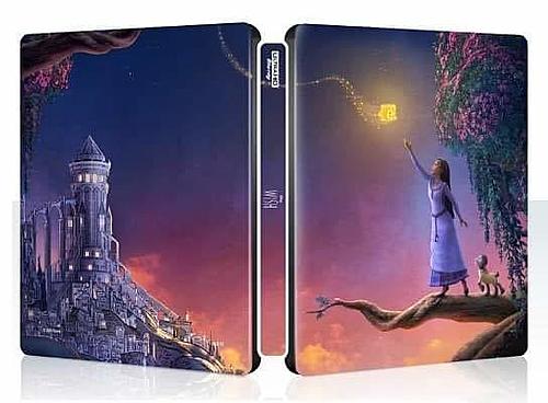 Klicke auf die Grafik für eine vergrößerte Ansicht  Name: The-Wish-steelbook-1.jpg Ansichten: 1 Größe: 24,6 KB ID: 406080